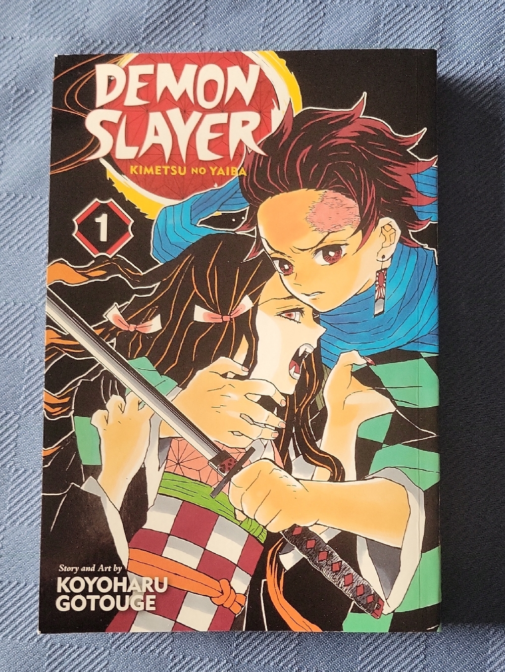 Demon Slayer: Kimetsu no Yaiba Vol. 1 Manga - Color Cover